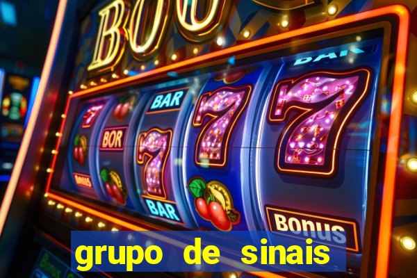 grupo de sinais fortune rabbit